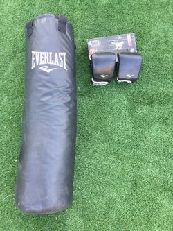 Everlast punching bag and training gloves