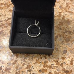 Platinum Band With Four Prongs