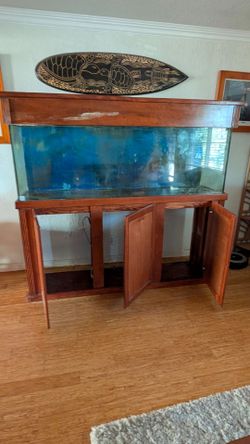 Free aquarium