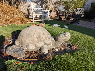 Concrete Turtle