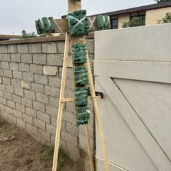 Easel 