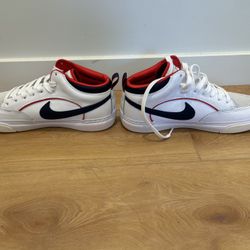 Nike SB React