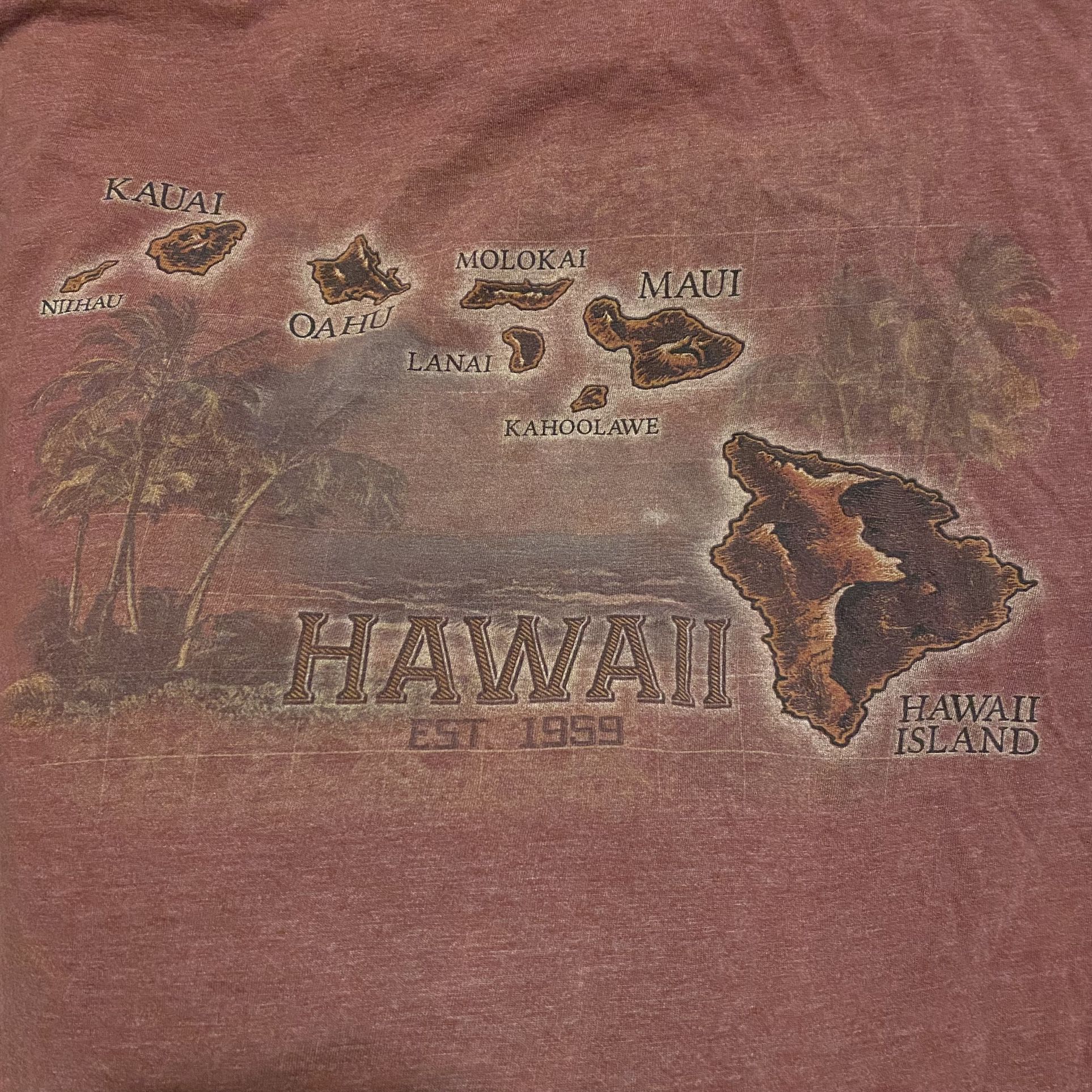 Hawaii Tee 