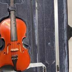 Violin And Viola 