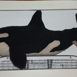 Orca Plushie 