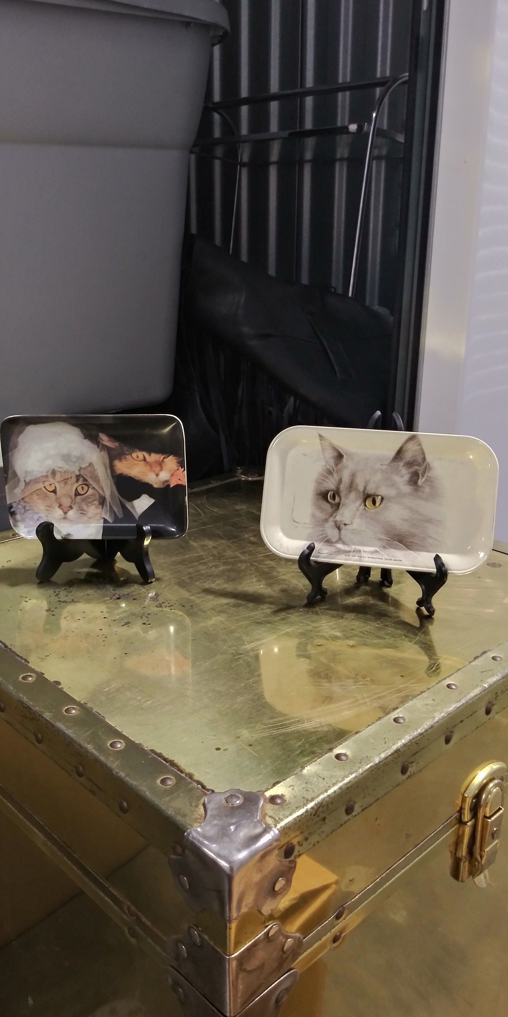Cat Tins on easels