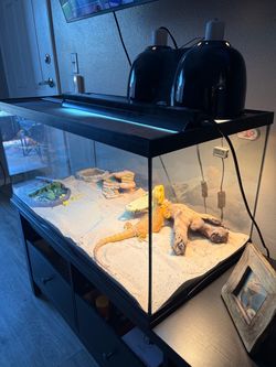 REPTILE HABITAT & accessories