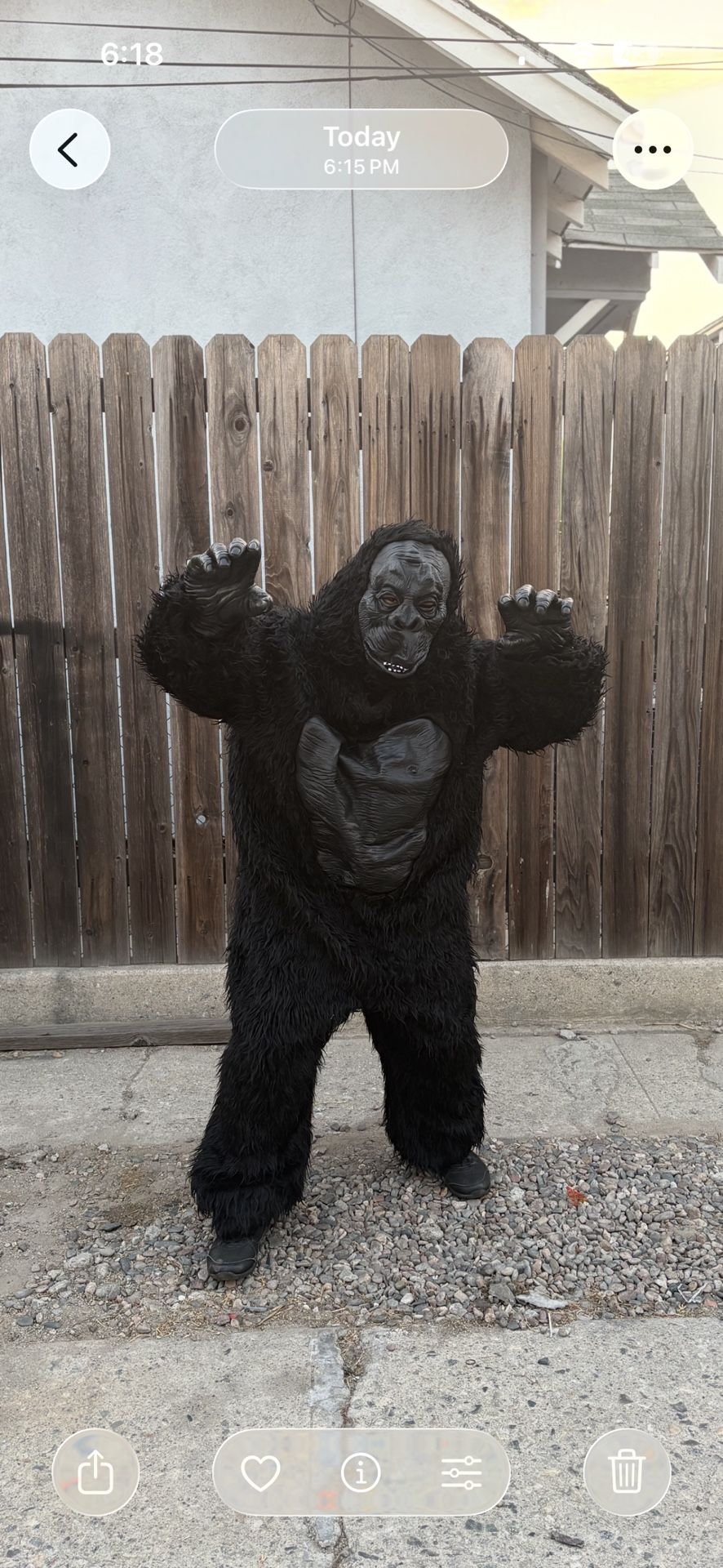 Full Body Gorilla Costume For Halloween. I Am 5ft Tall