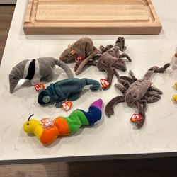 TY Beanie Babies $20 For All