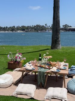 Picnic set up