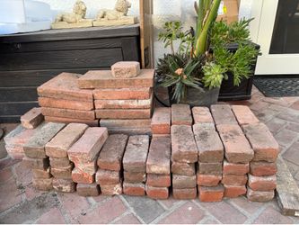 Bricks