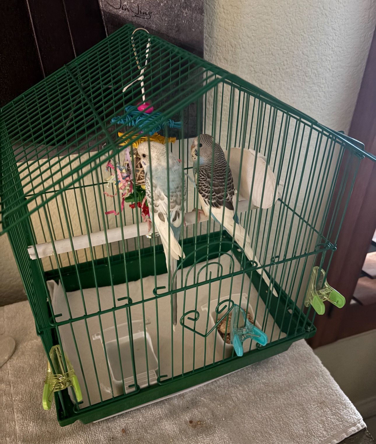 Small Bird Cage