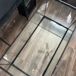40 Gallon Tank I