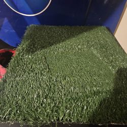 Dog Training Pad