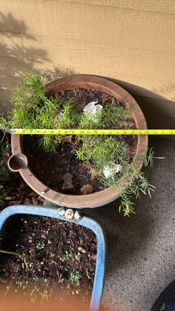 Ceramic pot