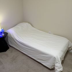 Twin Bed & Box Spring & Topper