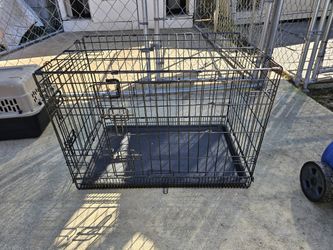 Dog Cage