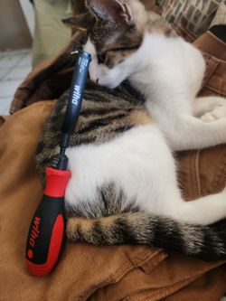 Wiha Tool