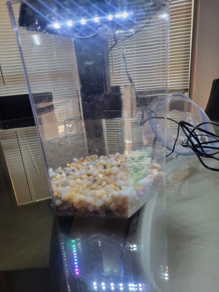 Fish Tank And Filter