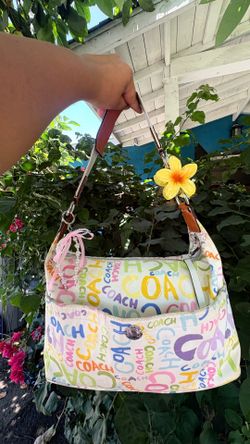 Vintage coach