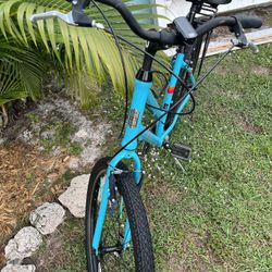 Sun Cruiser