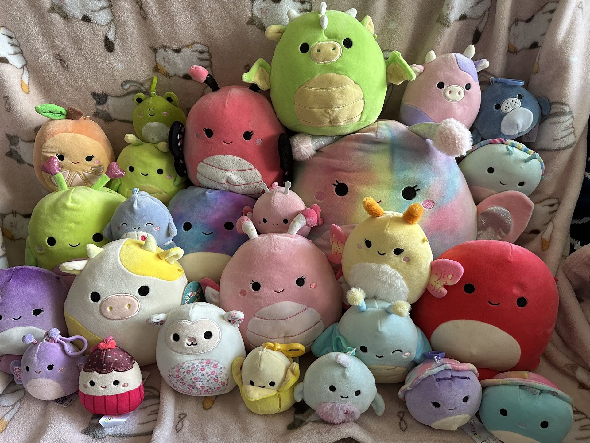 Squishmallow Lot