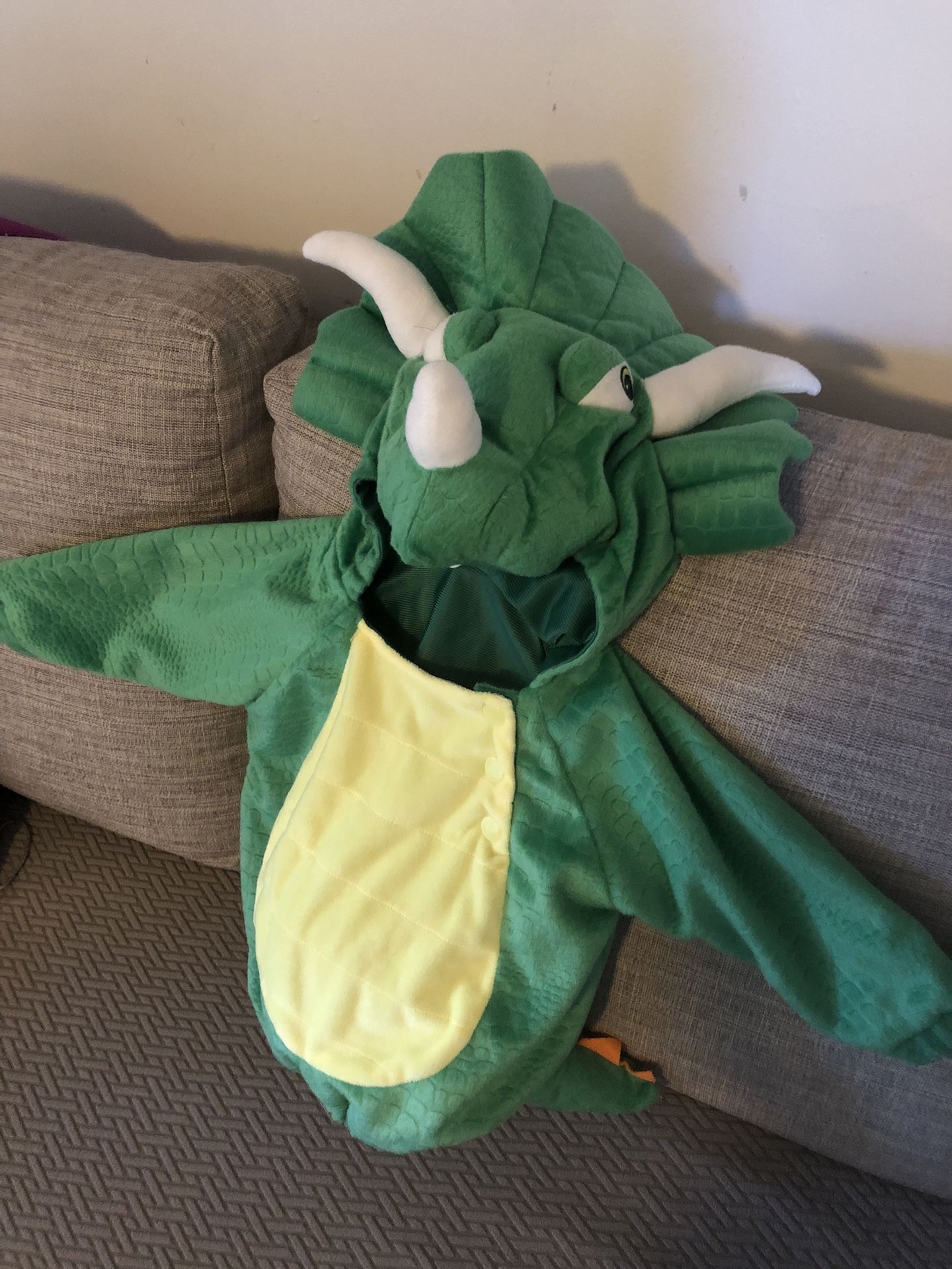 Baby Dinosaur Costume (Target)