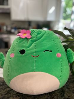 Cactus squishmallow