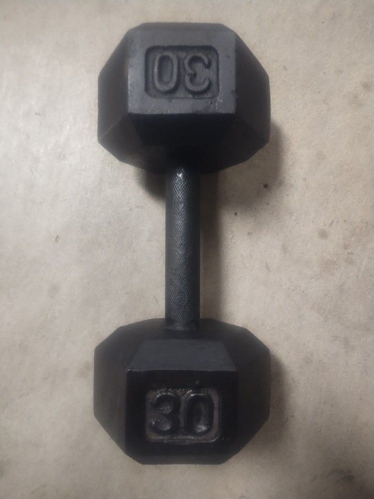 30 Lbs Dumbbell 