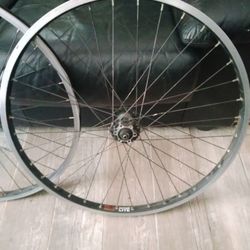 Rhyno Lite Sun Rims 26"