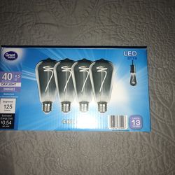 Decorative L E D Light Bulbs