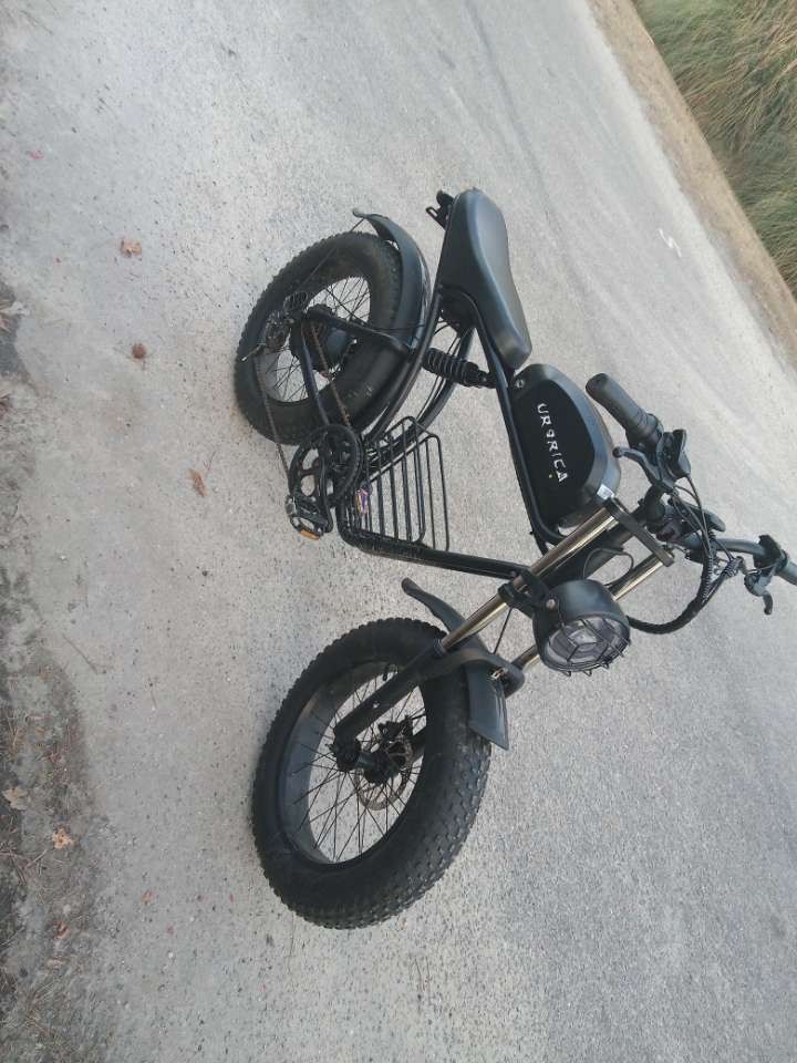 Electric Bike