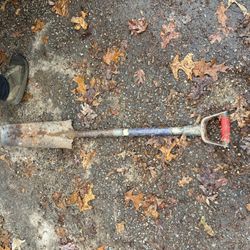 D-handle transfer shovel