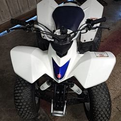 2007 Suzuki LTZ90