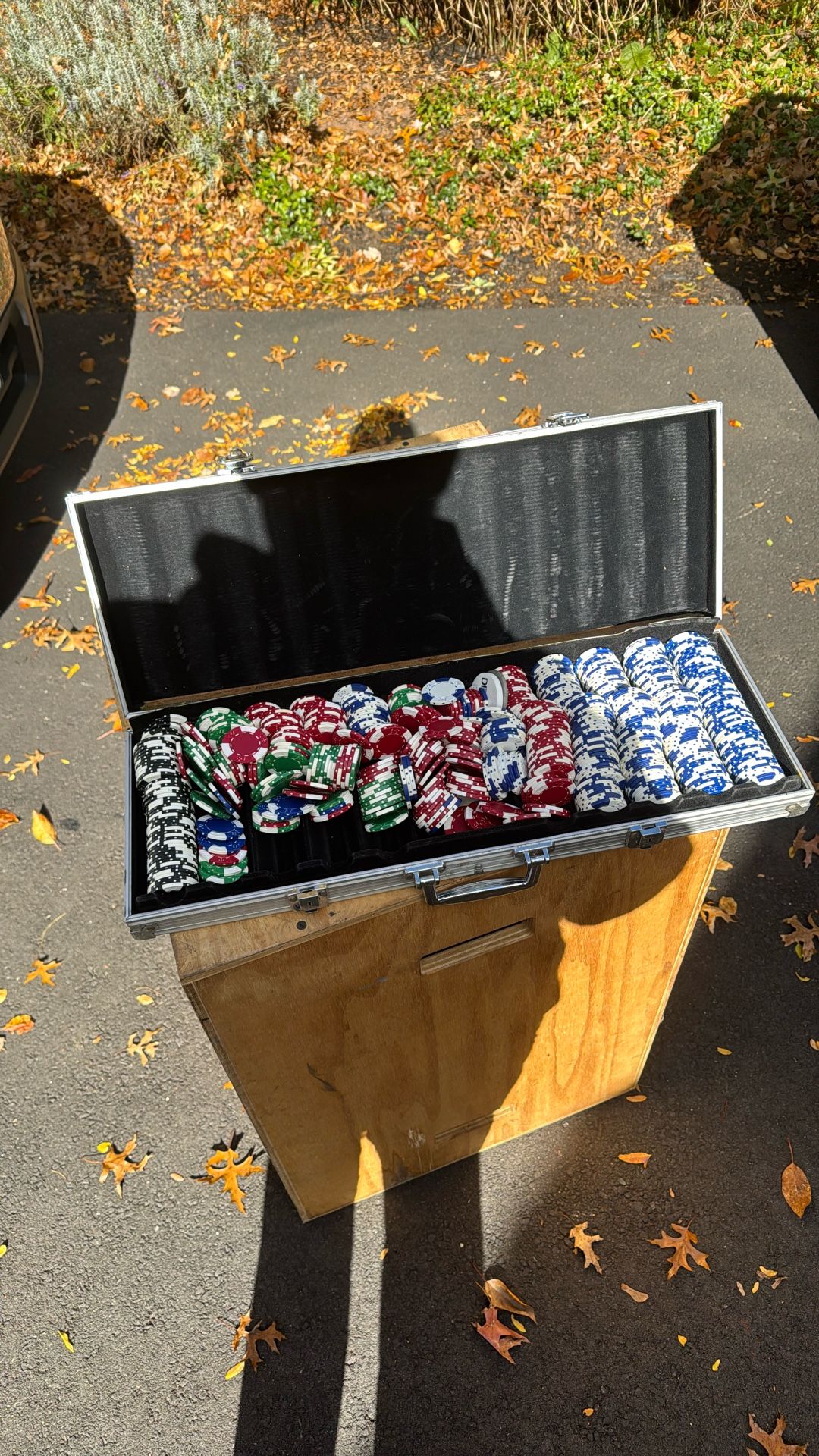 Poker Chips
