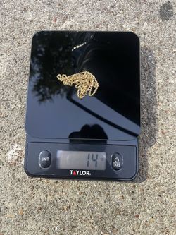 10K Gold Torsal