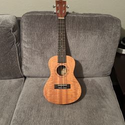 ukulele 