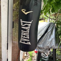 Punching Bag