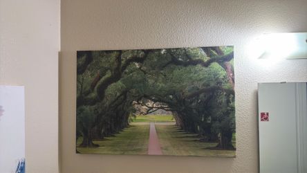 Beautiful local photographer who put it on canvass