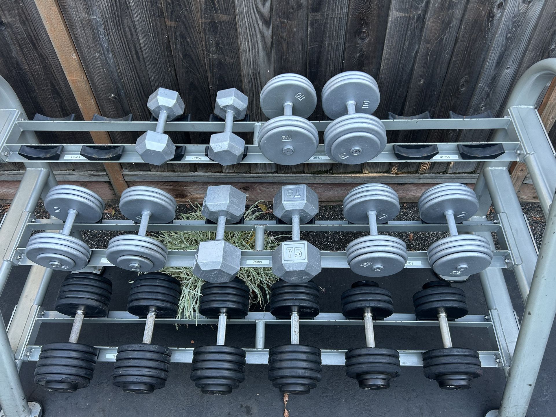 Professional Gym Style Weight Rack With Dumbbells. 
