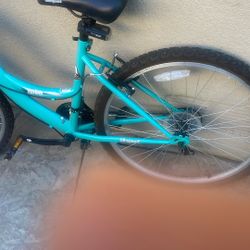 Girls Bicycle 