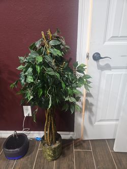 Two Fake Plants