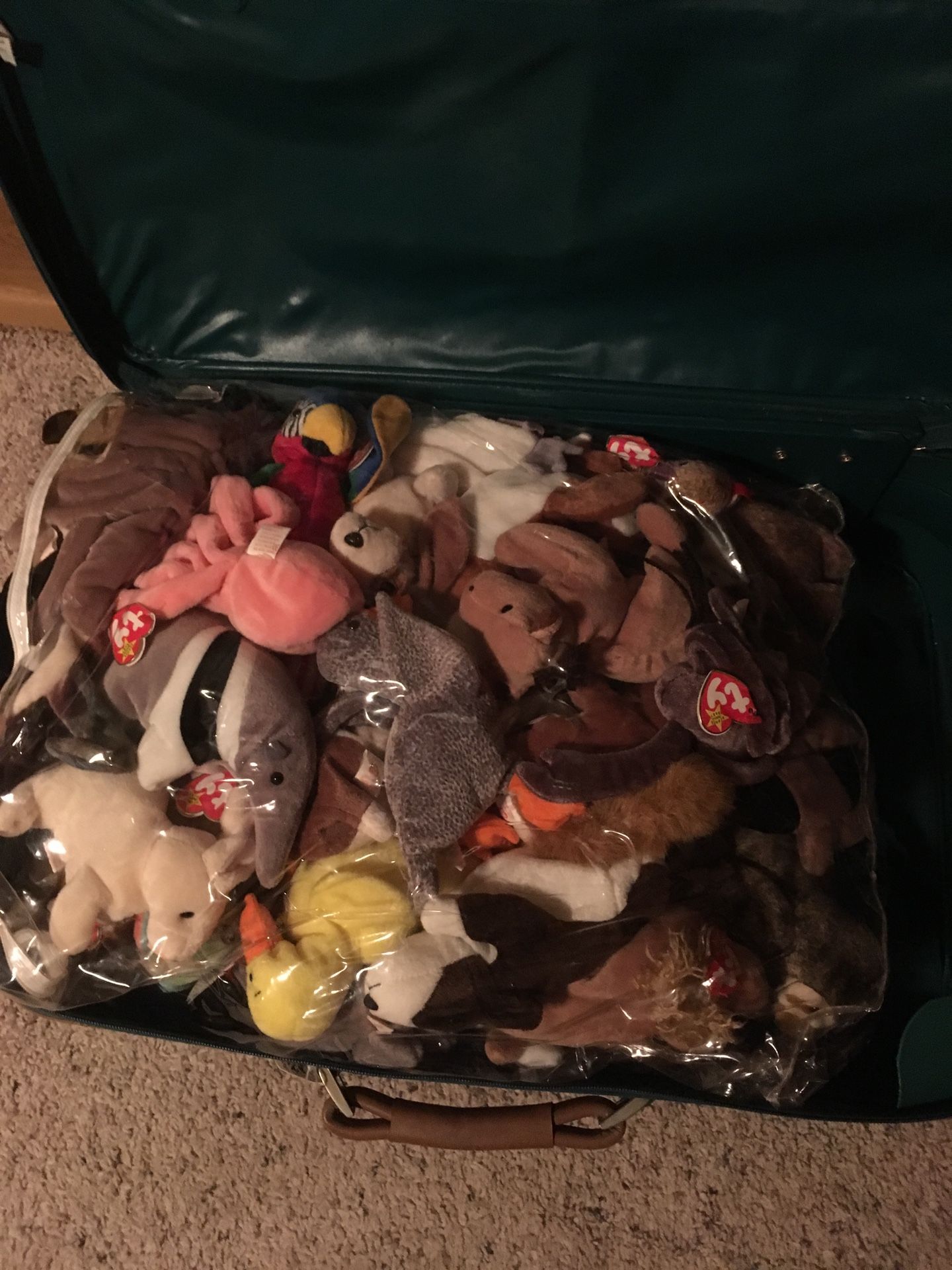 Beanie babies