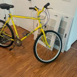 Nishiki Classic Mountain Bike - Ready To Ride 