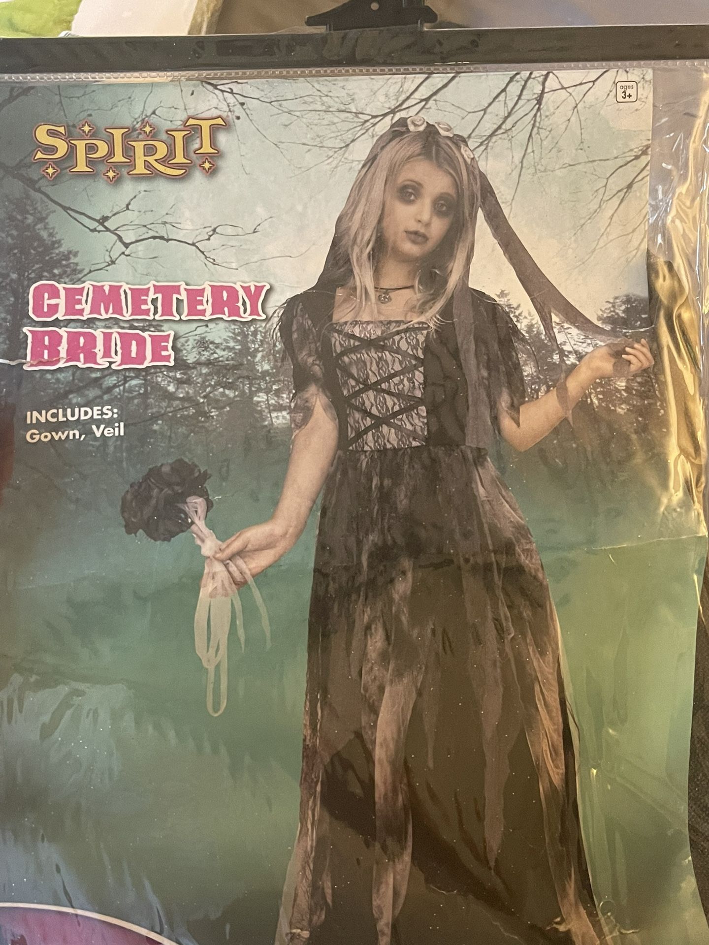Cemetery Bride Costume