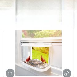 Bird Feeder
