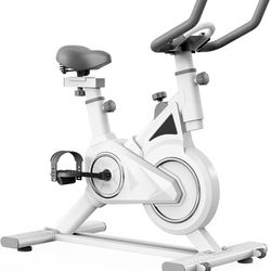 Q-6kg Exercise Bike with Infinite Resistance for Home 350 lb Weight Capacity, Adjustable Seat, Quiet Magnetic Resistance,Brake Pad Indoor Cycling Bike
