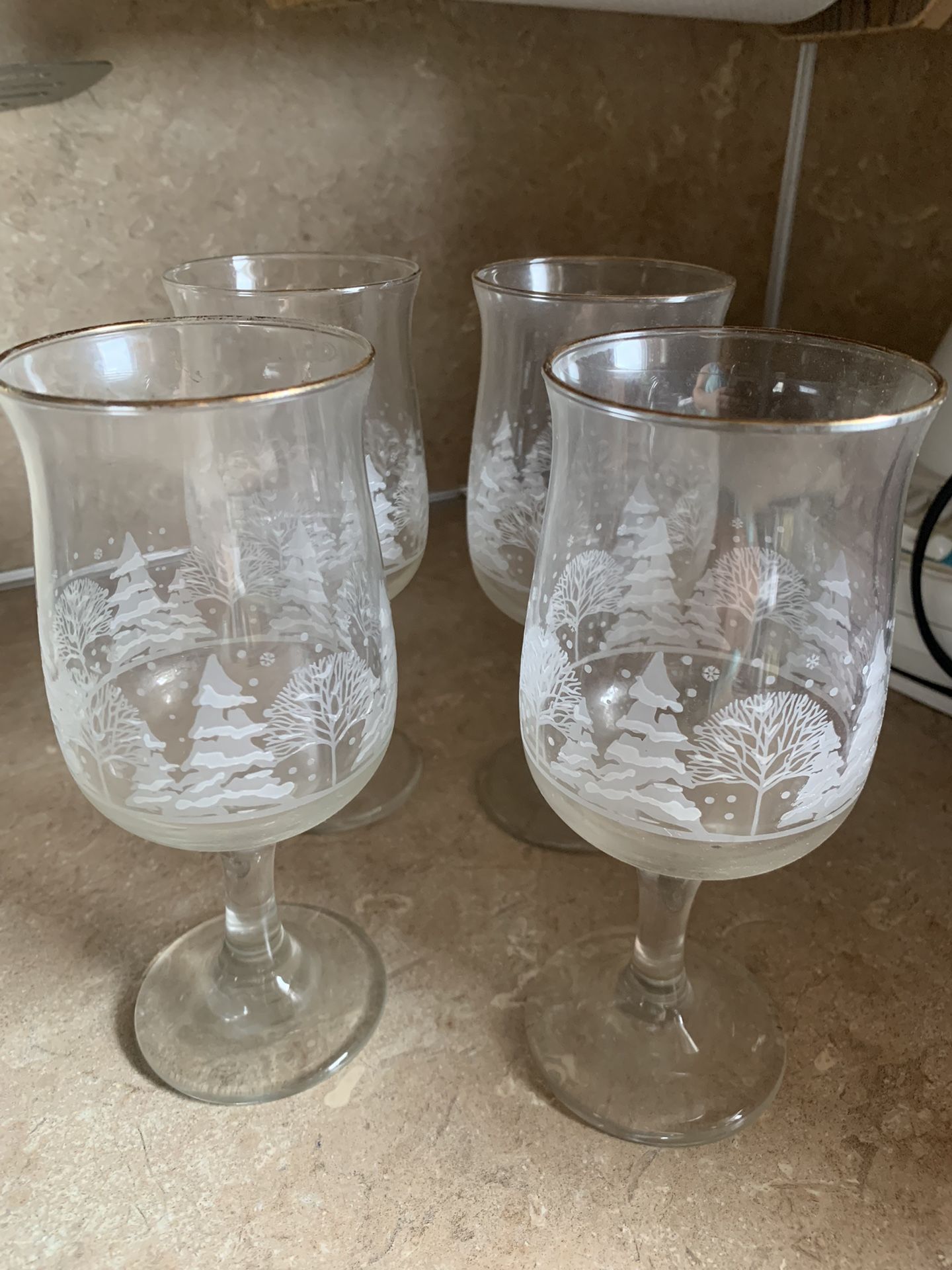 Beautiful Etched Wine Glasses