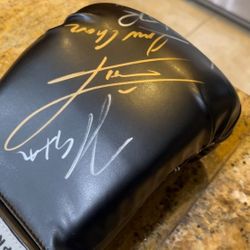 Signed Glove By  The MAIN EVENT fighters Chavez Sr Chavez Jr Omar Chavez Anderson Silva , Camacho Jr  and Alvarez Canelos  brother.
