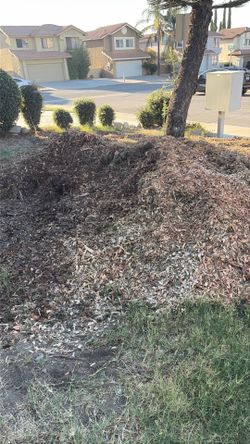 Free Mulch